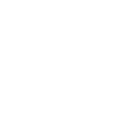 Central Processors NY